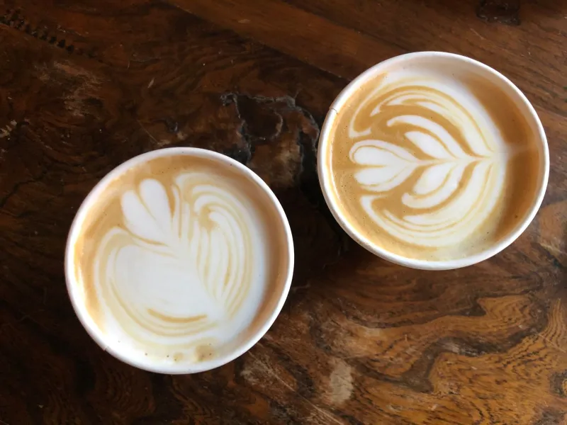 Drive-Thru Decibel: We Sipped Our Way Through America's Big-Chain Chai Lattes (Blindfolded, Sort Of)